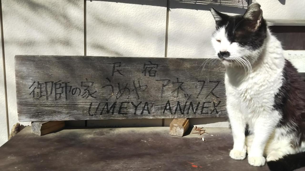 Umeya Annex Guest House Fujikawaguchiko Luaran gambar
