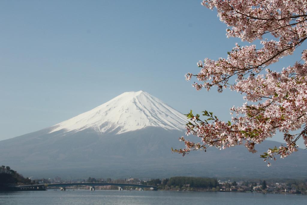 Umeya Annex Guest House Fujikawaguchiko Luaran gambar